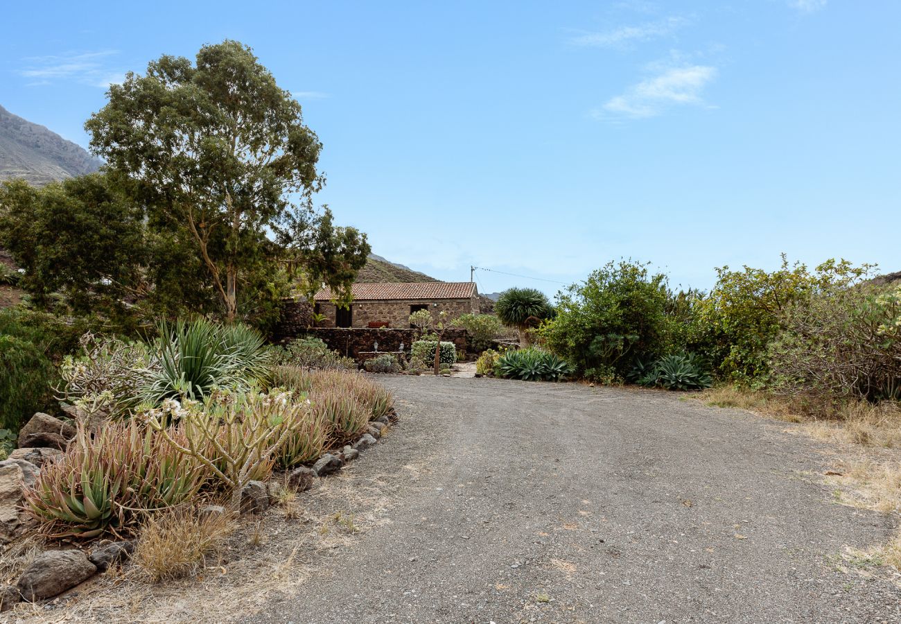 Casa en San Nicolas de Tolentino - Exclusiva Casa Rural con terraza y barbacoa ideal para desconectar en Tasarte