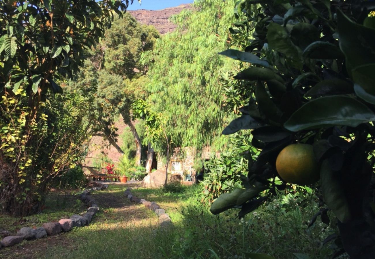 Casa en San Nicolas de Tolentino - Preciosa y acogedora Casa Rural ideal para desconectar en Tasarte