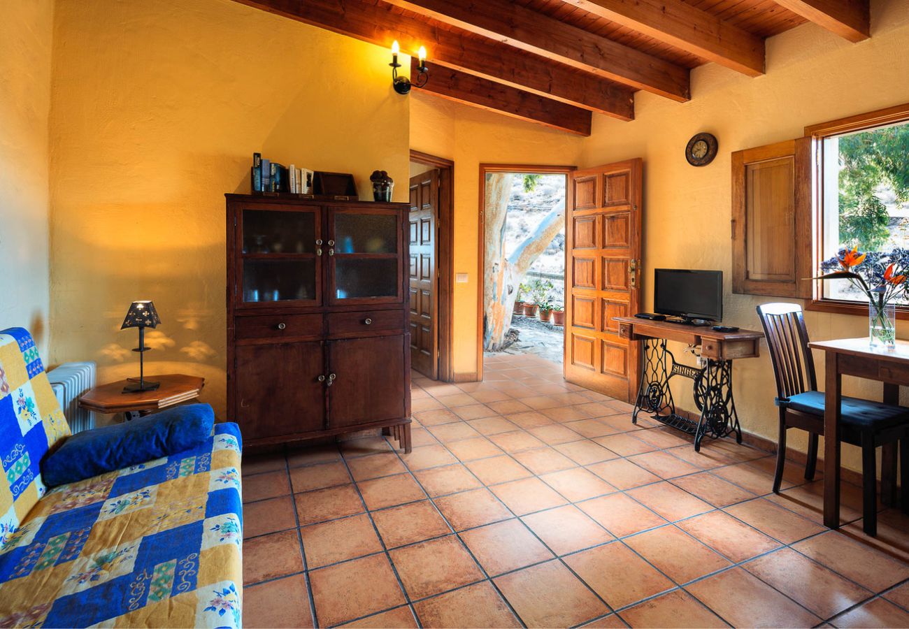 Casa en San Nicolas de Tolentino - Preciosa y acogedora Casa Rural ideal para desconectar en Tasarte