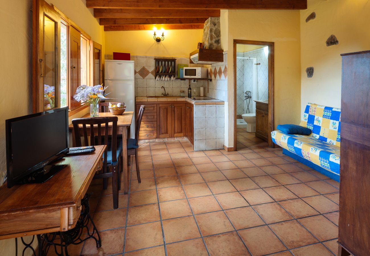 Casa en San Nicolas de Tolentino - Preciosa y acogedora Casa Rural ideal para desconectar en Tasarte