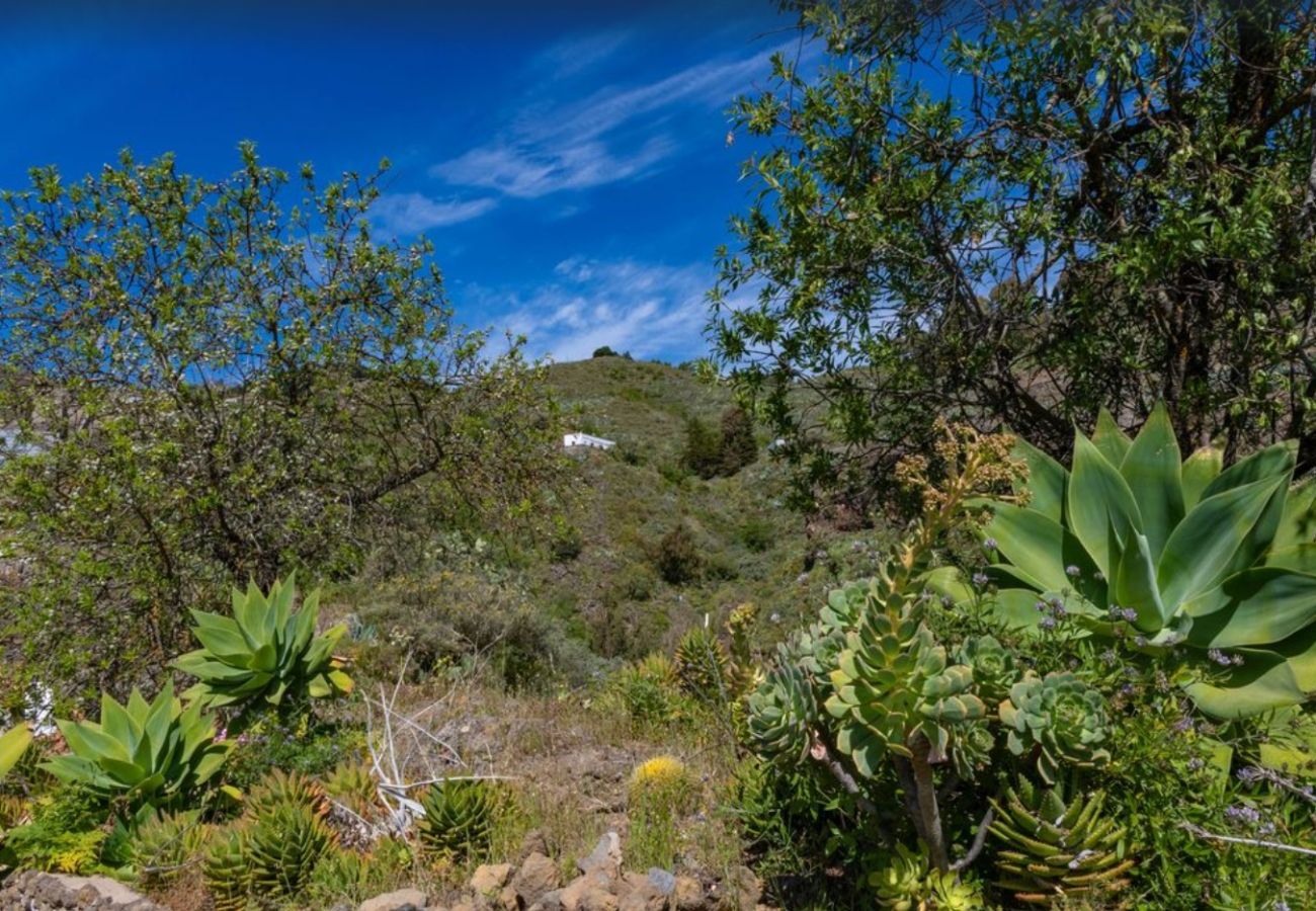 Casa rural en Valsequillo - Casa Rural 1HAB perfecta para desconectar y hacer senderismo