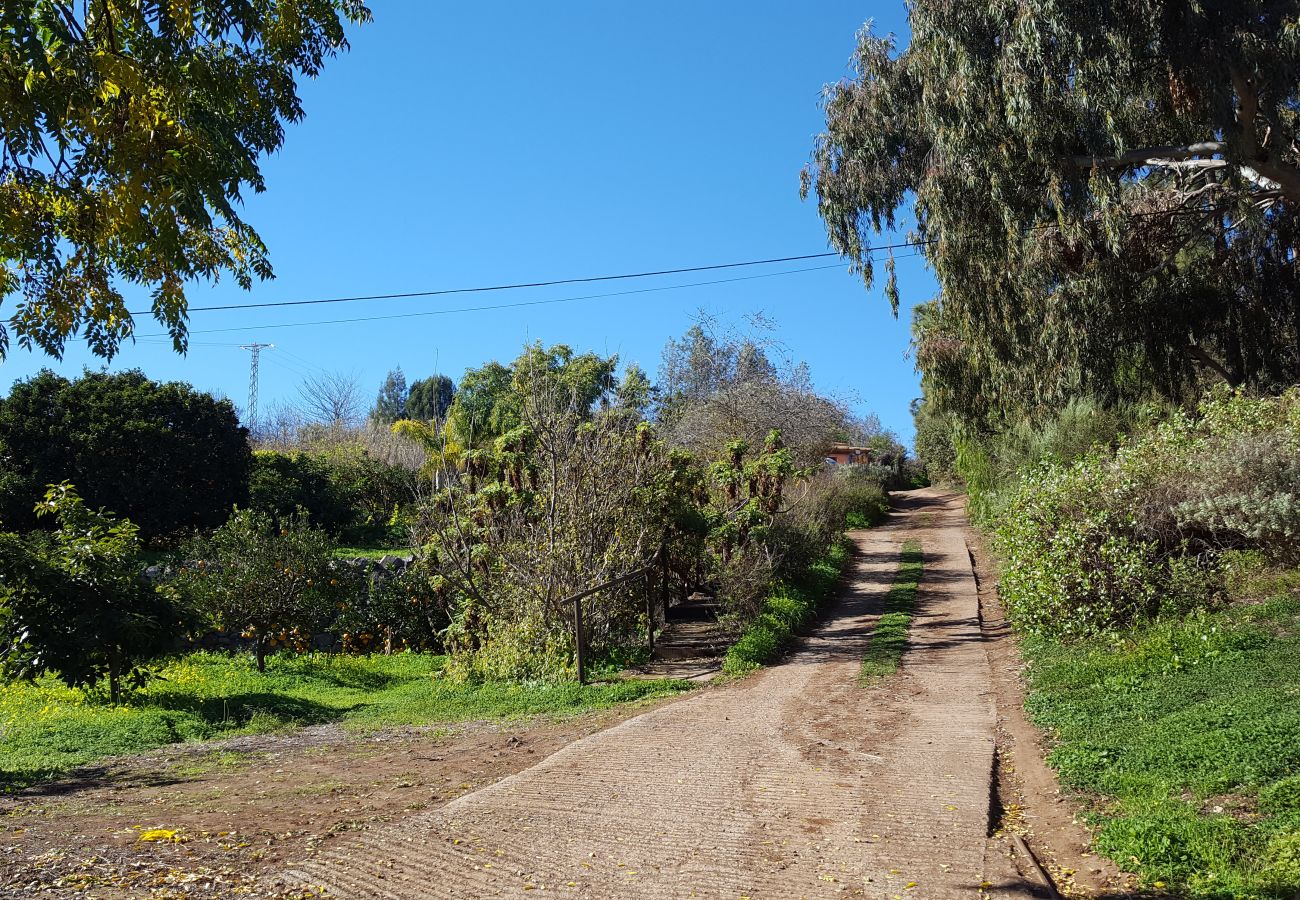 Casa rural en Santa Brígida - Bonita y acogedora casa rural con piscina privada en Santa Brígida