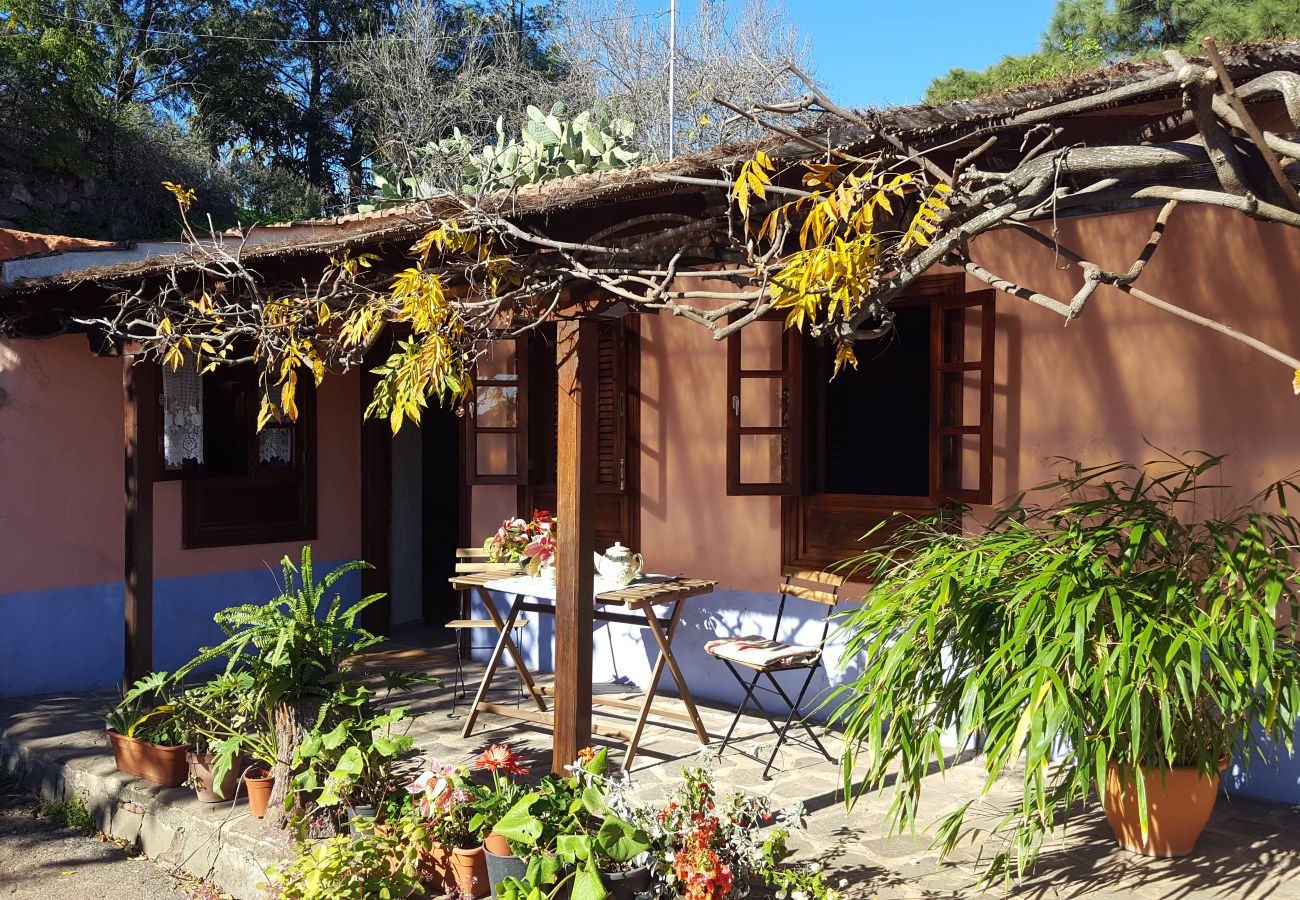 Casa rural en Santa Brígida - Bonita y acogedora casa rural con piscina privada en Santa Brígida