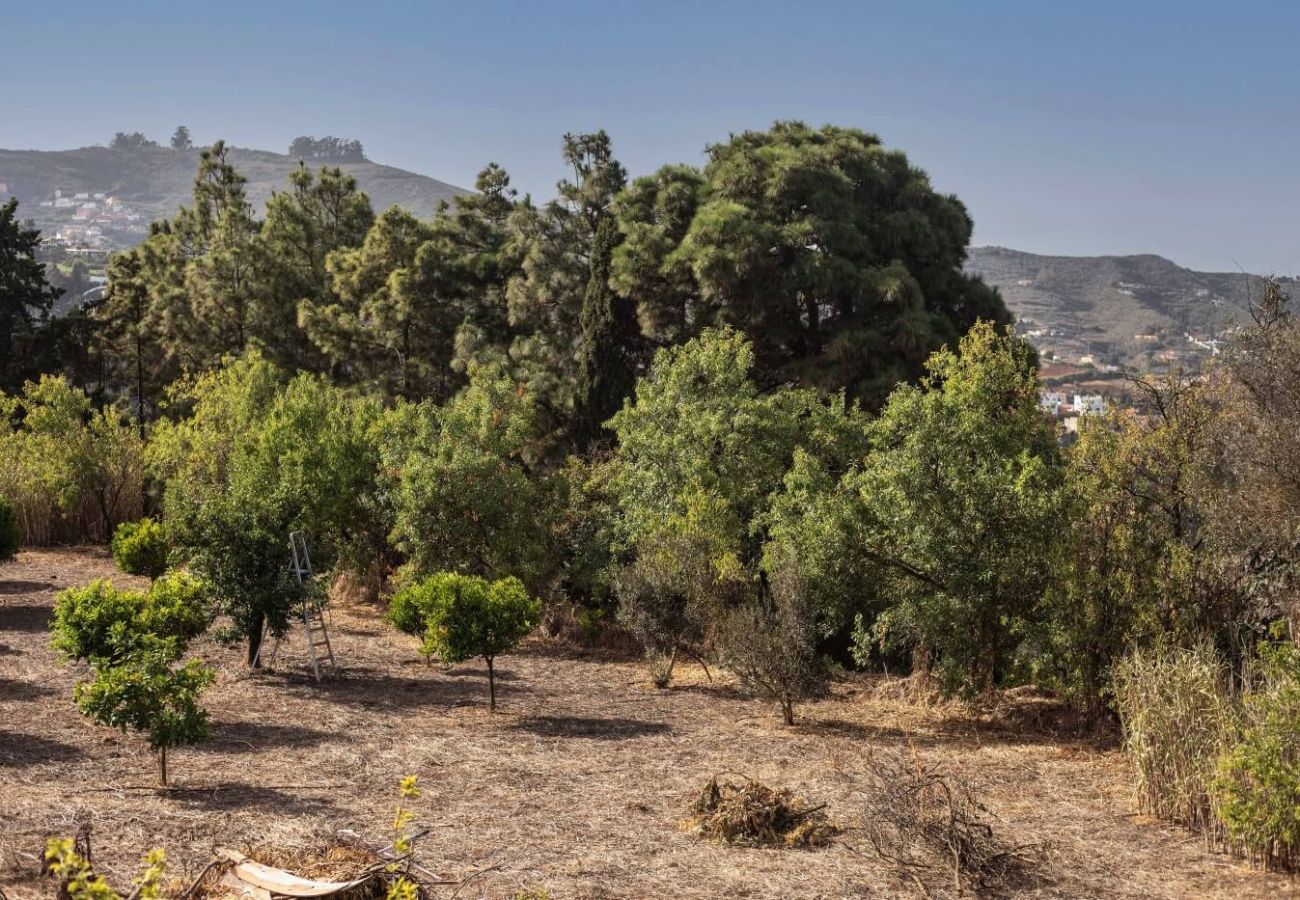 Casa rural en Santa Brígida - Casa Rural en Santa Brígida con un encanto especial 