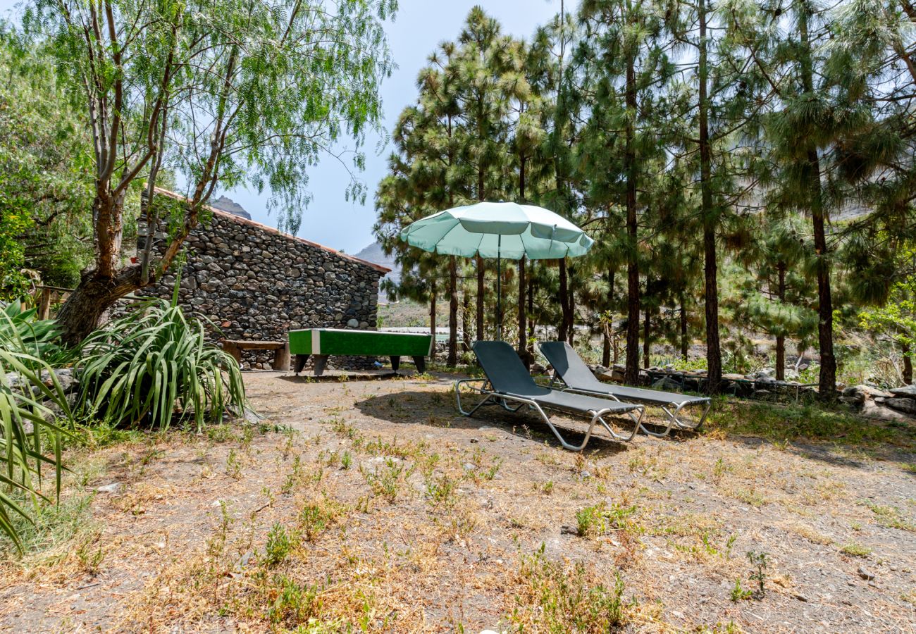 Casa rural en San Nicolas de Tolentino - Finca Arenales by Villas Rivero