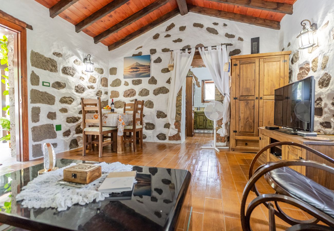 Casa rural en San Nicolas de Tolentino - Finca Arenales by Villas Rivero