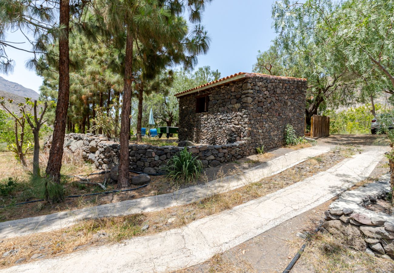 Casa rural en San Nicolas de Tolentino - Finca Arenales by Villas Rivero