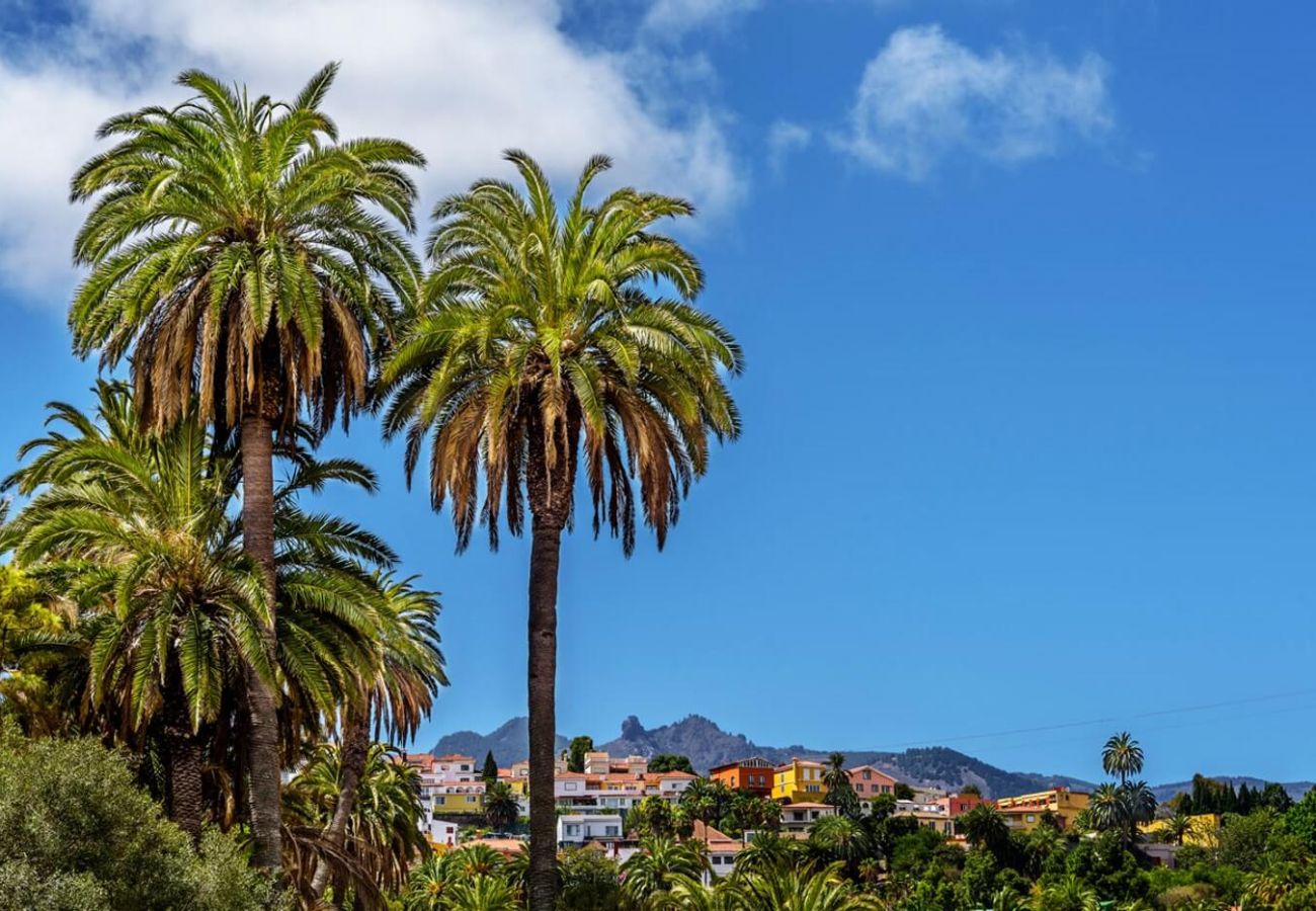 Casa rural en Santa Brígida - Casa con encanto y terraza en Santa Brígida