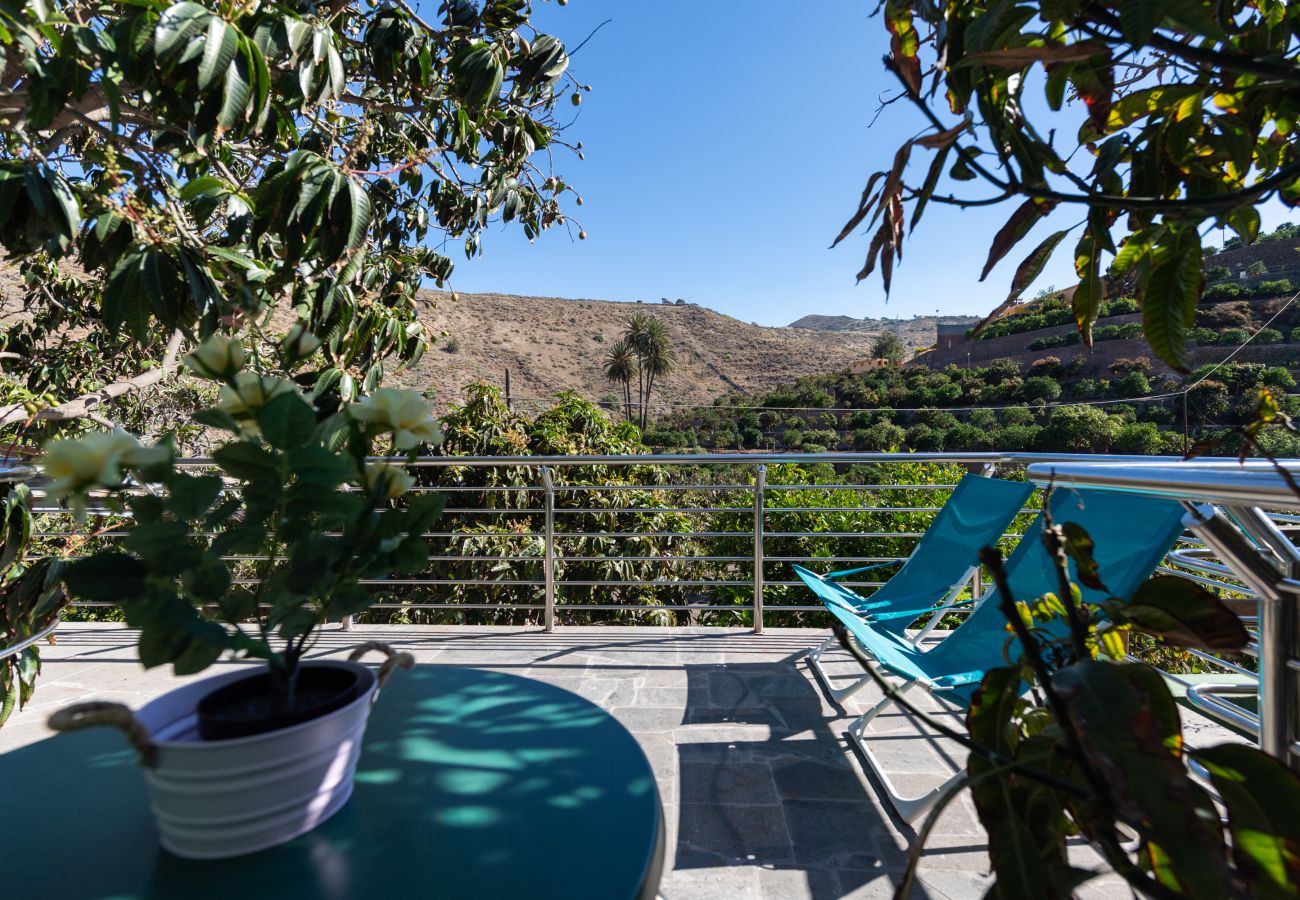 Apartamento en Telde - Apto. 8 Finca Oasis