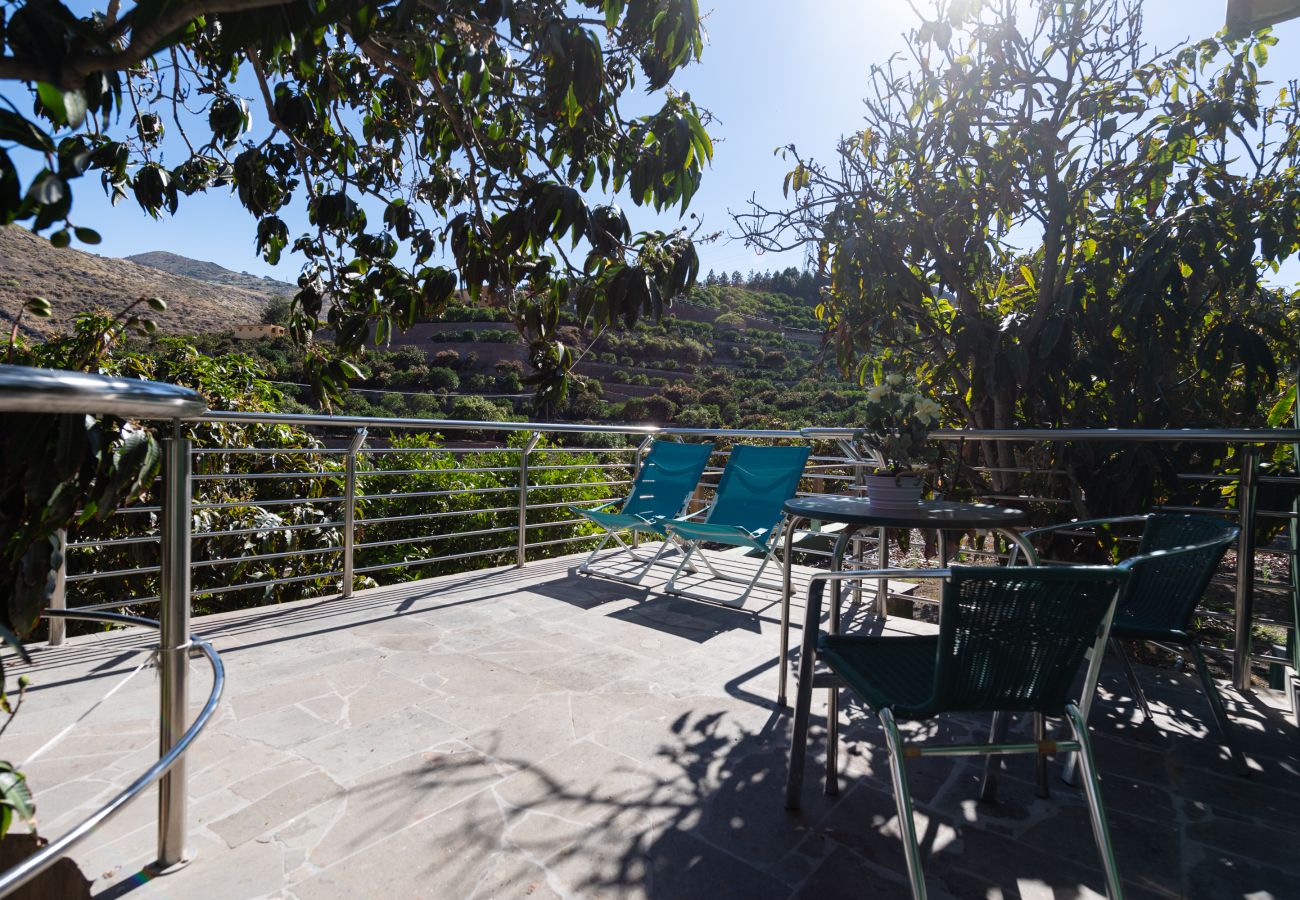 Apartamento en Telde - Apto. 8 Finca Oasis