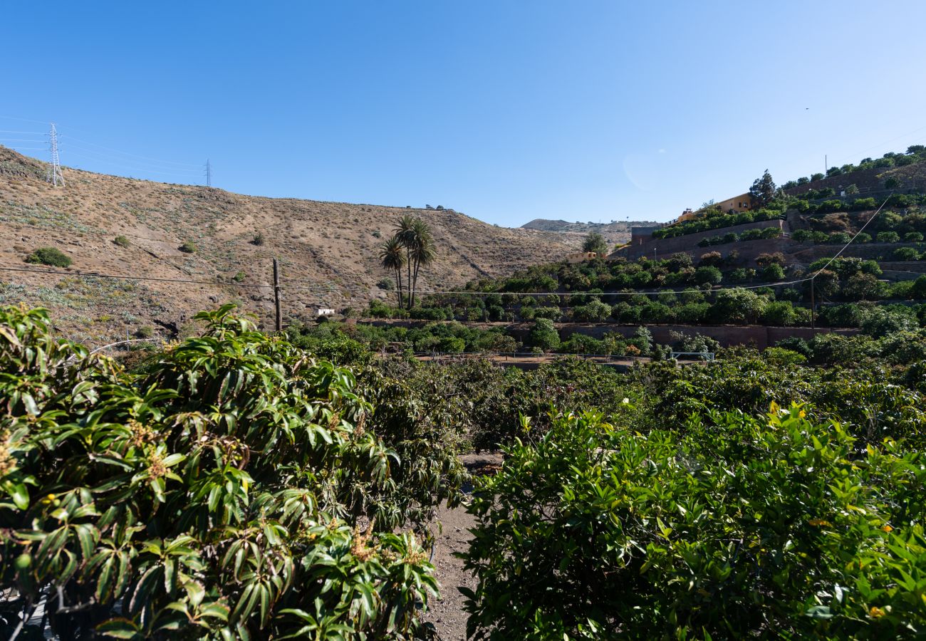 Apartamento en Telde - Apto. 8 Finca Oasis
