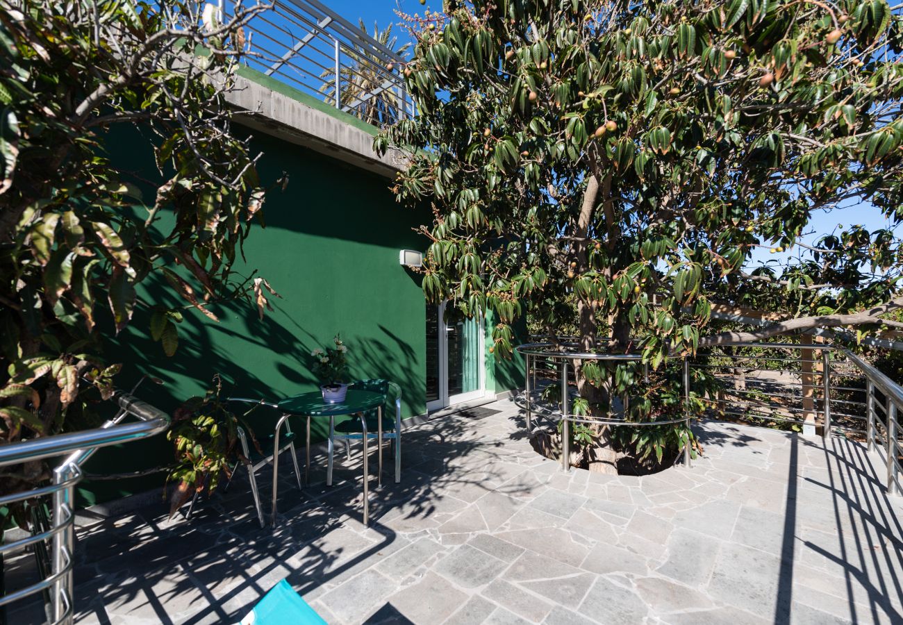 Apartamento en Telde - Apto. 8 Finca Oasis