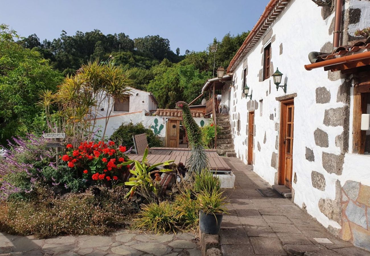 Landhaus in Valleseco - Ländliches Haus mit besonderem Charme in Valleseco