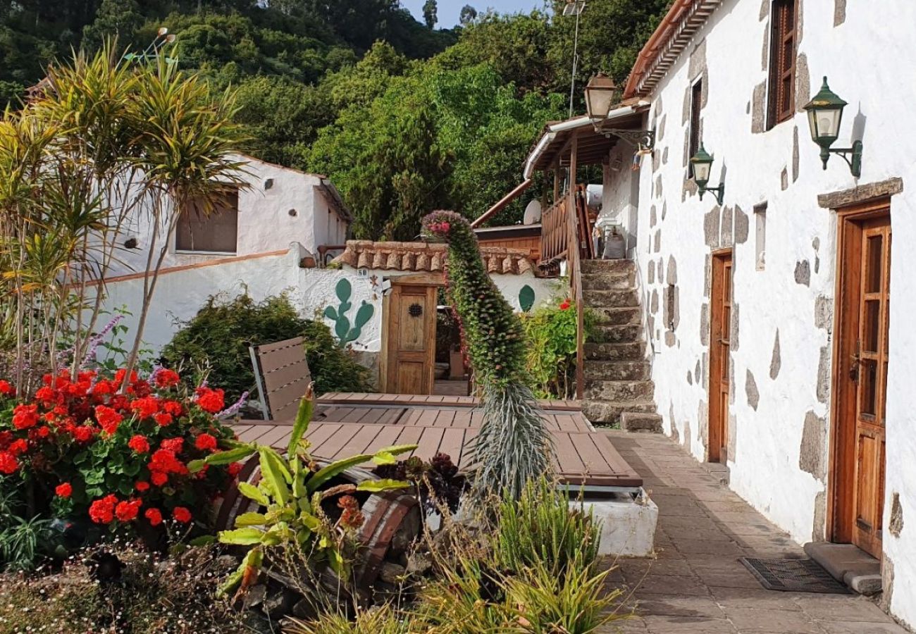 Landhaus in Valleseco - Ländliches Haus mit besonderem Charme in Valleseco