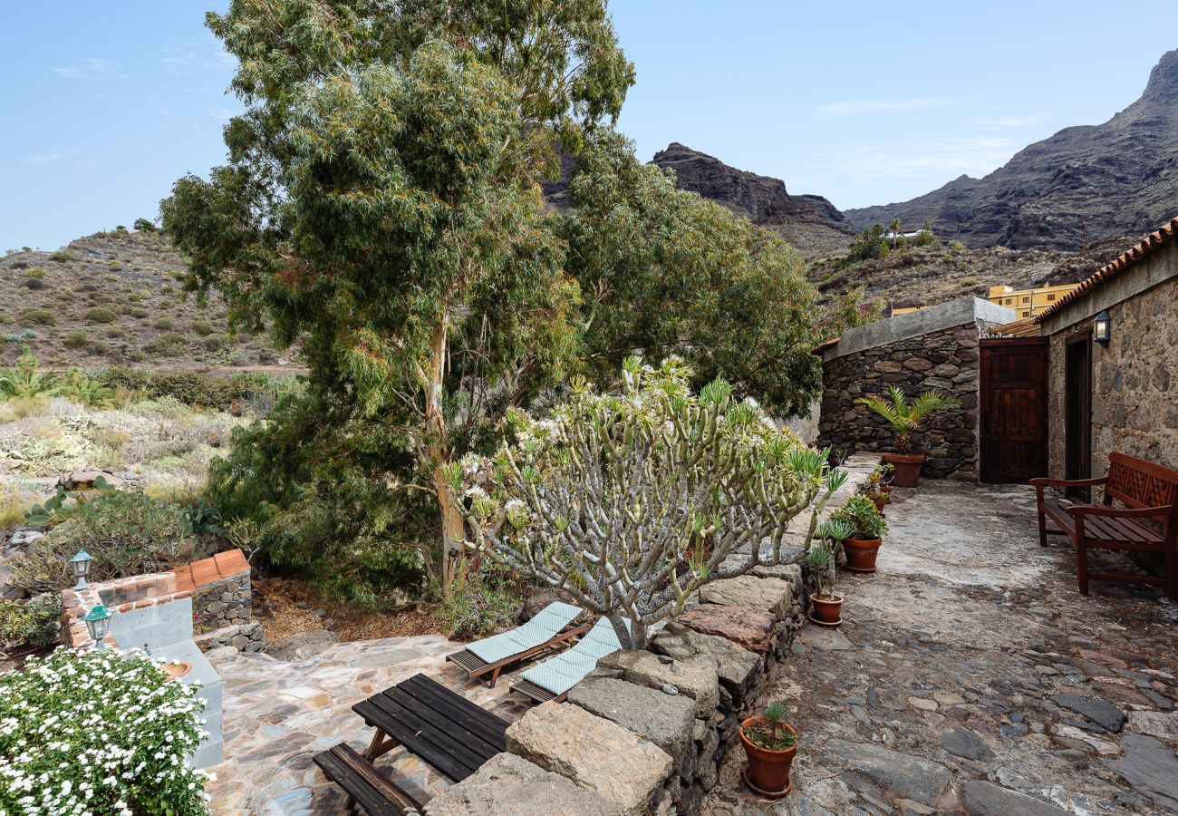 Ferienhaus in San Nicolas de Tolentino - Exklusives Landhaus mit Terrasse und Grill, ideal zum Abschalten in Tasarte