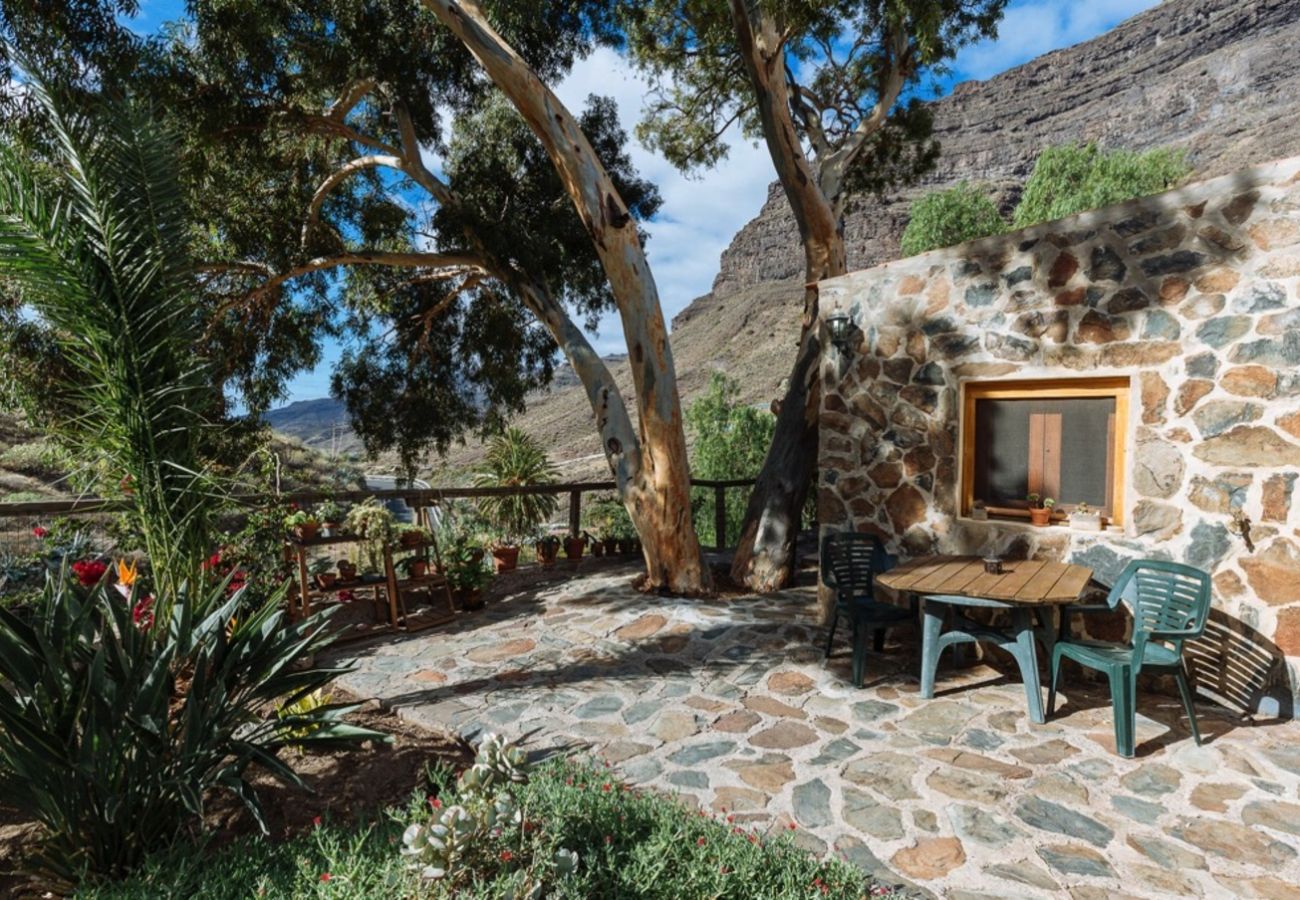 Ferienhaus in San Nicolas de Tolentino - Schönes und gemütliches Haus auf dem Lande, ideal zum Abschalten in Tasarte