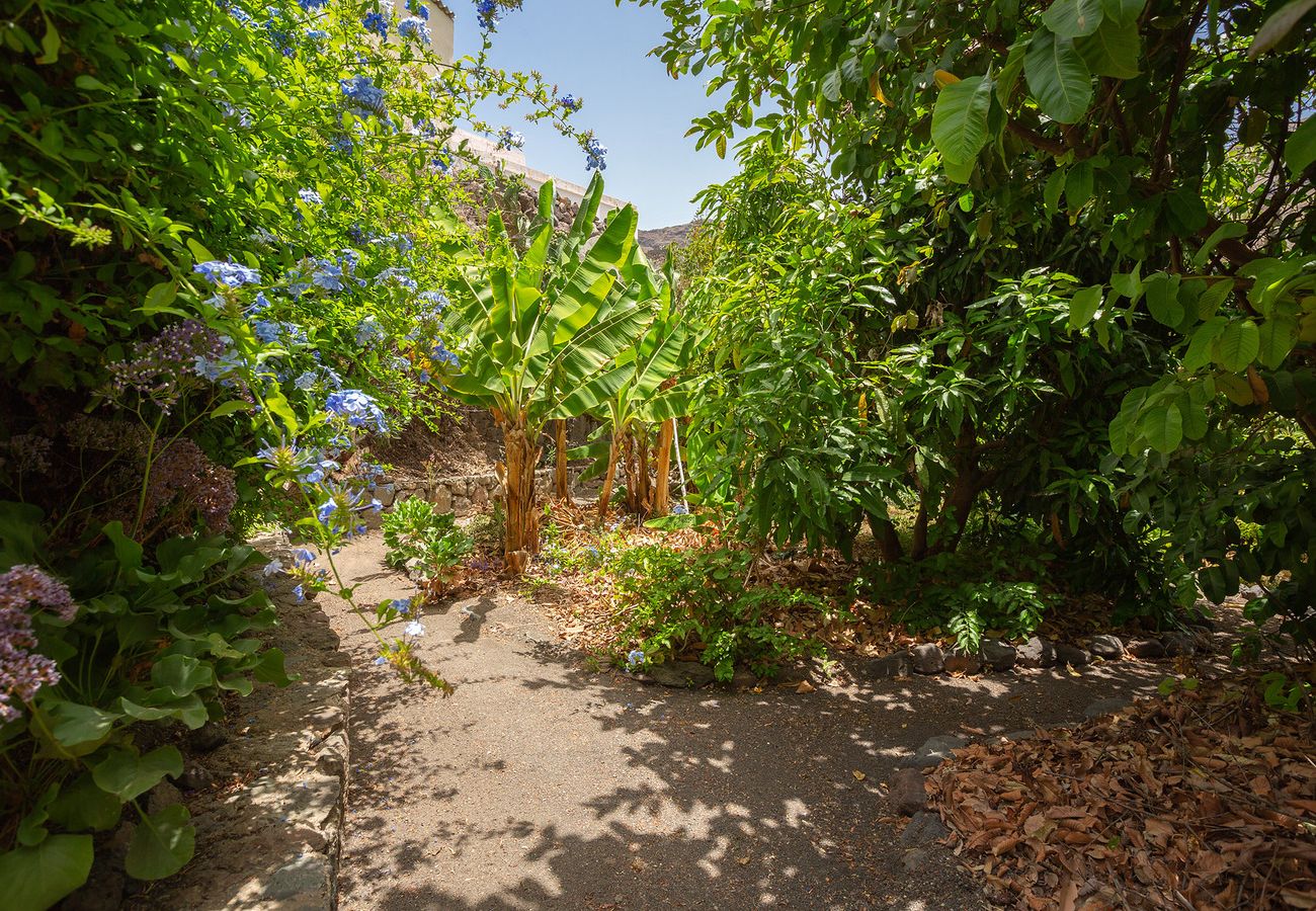 Ferienhaus in San Nicolas de Tolentino - Ländliches Haus mit privatem Pool in Tasarte