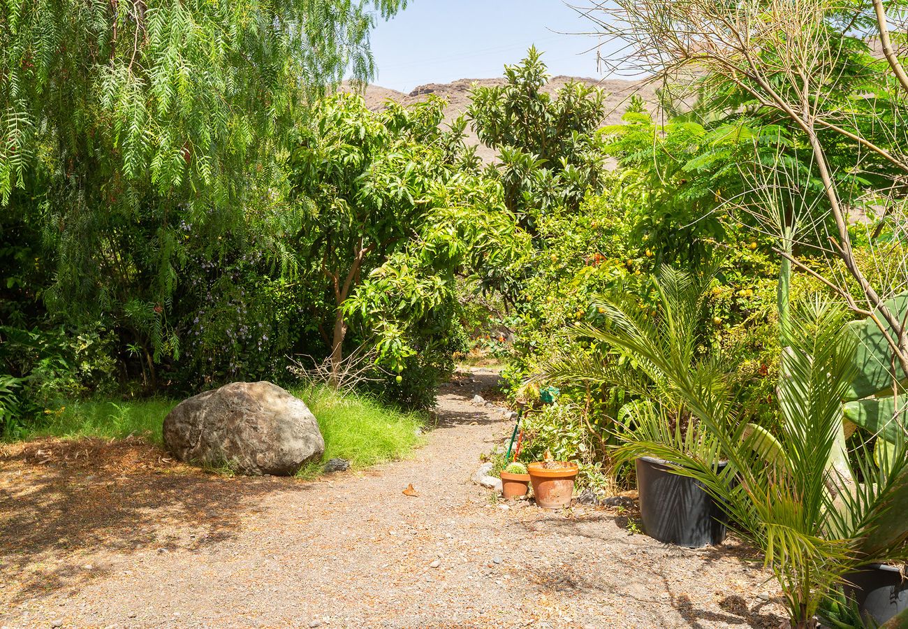 Ferienhaus in San Nicolas de Tolentino - Ländliches Haus mit privatem Pool in Tasarte