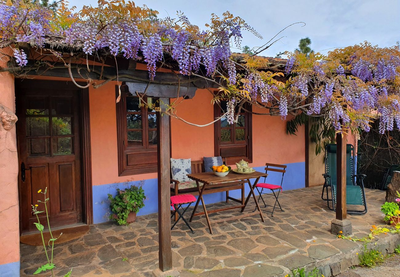 Landhaus in Santa Brígida - Schönes und gemütliches Landhaus mit privatem Pool in Santa Brígida