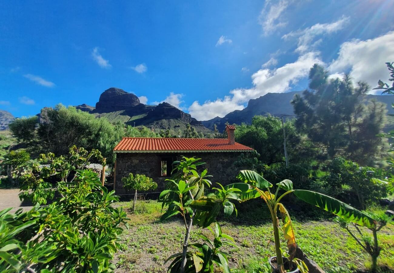 Landhaus in San Nicolas de Tolentino - Ländliches Haus mit paradiesischer Umgebung in Tasarte