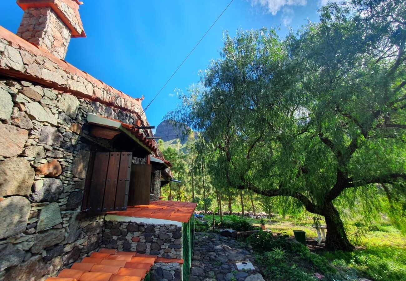 Landhaus in San Nicolas de Tolentino - Ländliches Haus mit paradiesischer Umgebung in Tasarte