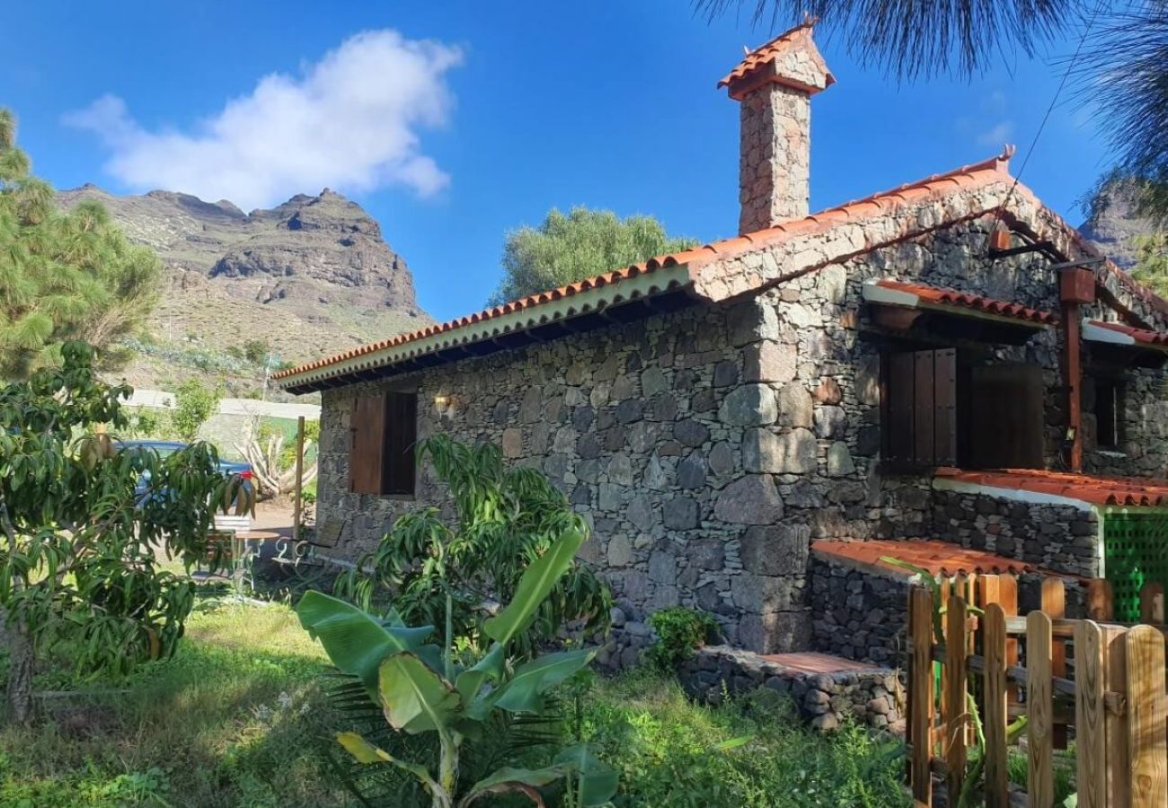 Landhaus in San Nicolas de Tolentino - Ländliches Haus mit paradiesischer Umgebung in Tasarte