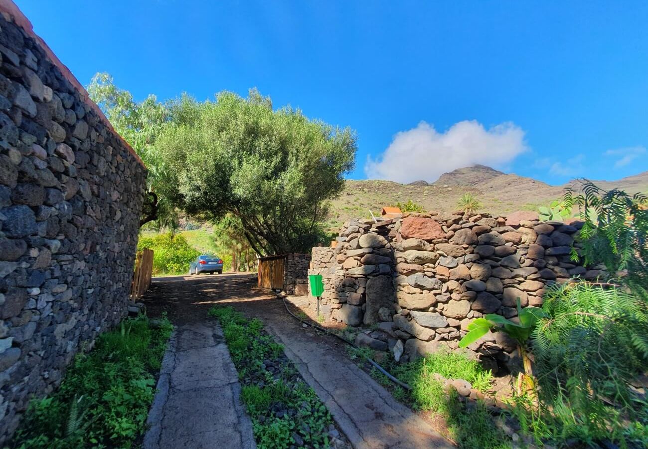 Landhaus in San Nicolas de Tolentino - Ländliches Haus mit paradiesischer Umgebung in Tasarte