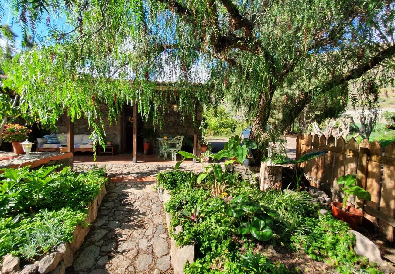 Landhaus in San Nicolas de Tolentino - Ländliches Haus mit paradiesischer Umgebung in Tasarte