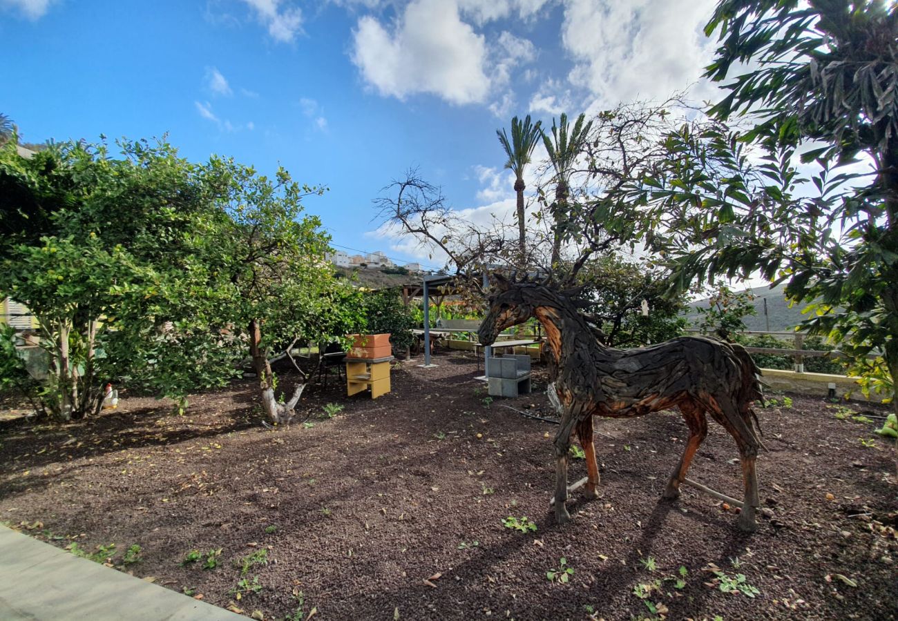 Ferienwohnung in Telde - Apto. 6 Finca Oasis
