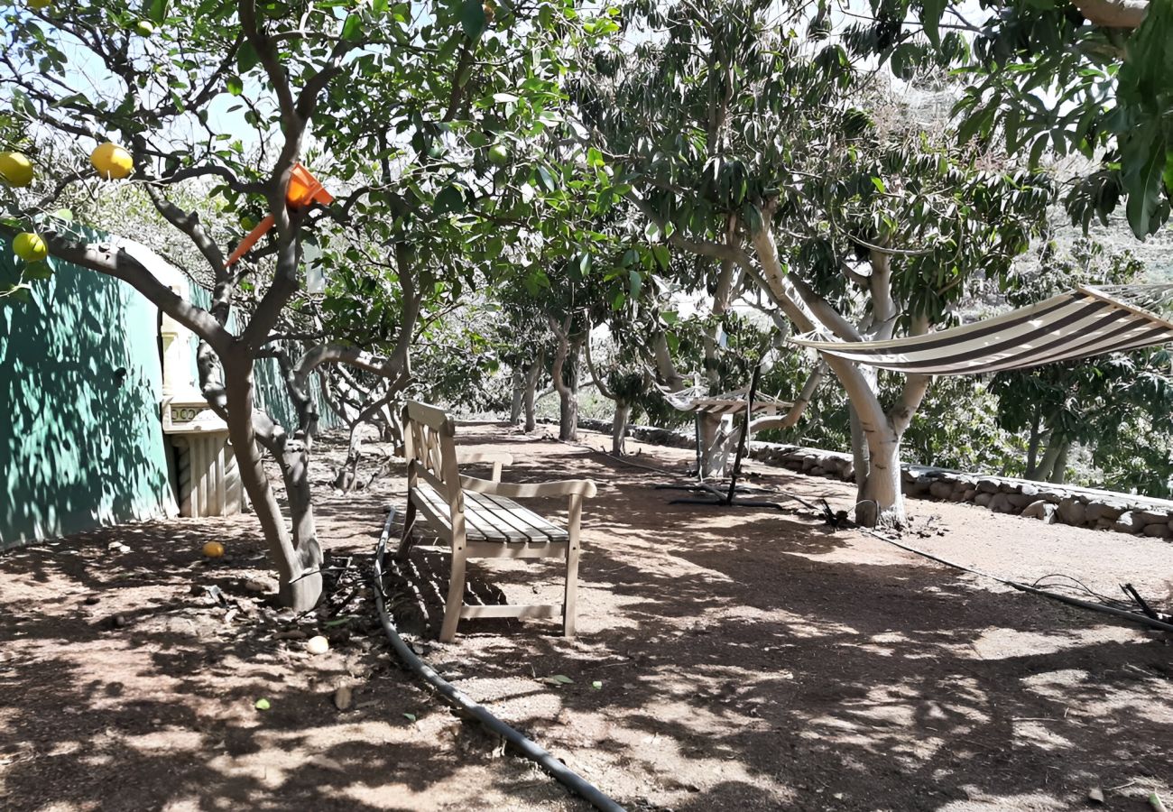 Ferienwohnung in Telde - Apto. 6 Finca Oasis