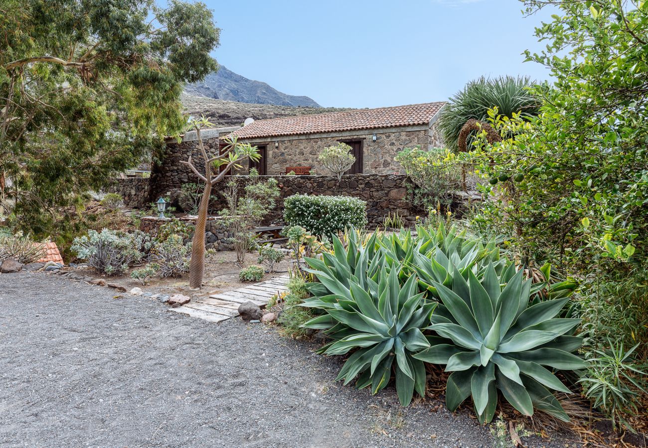 House in San Nicolas de Tolentino - Exclusive Rural House with terrace and barbecue ideal for disconnecting in Tasarte