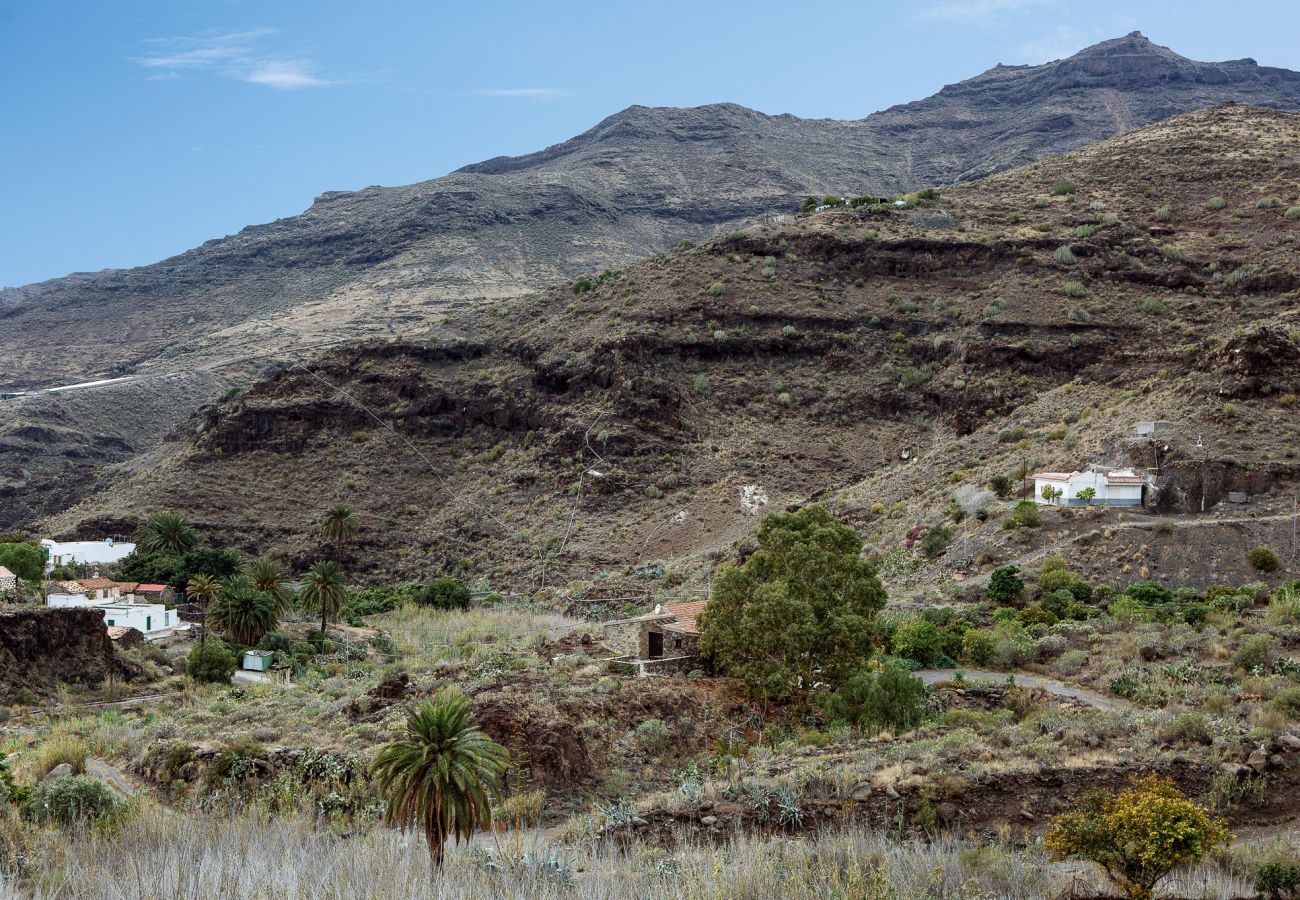 House in San Nicolas de Tolentino - Exclusive Rural House with terrace and barbecue ideal for disconnecting in Tasarte