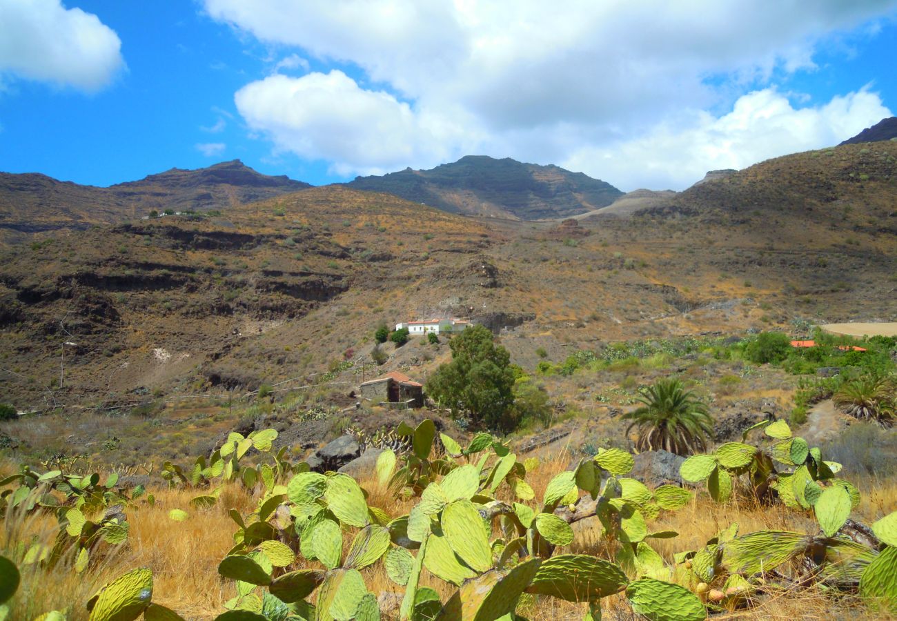 House in San Nicolas de Tolentino - Exclusive Rural House with terrace and barbecue ideal for disconnecting in Tasarte