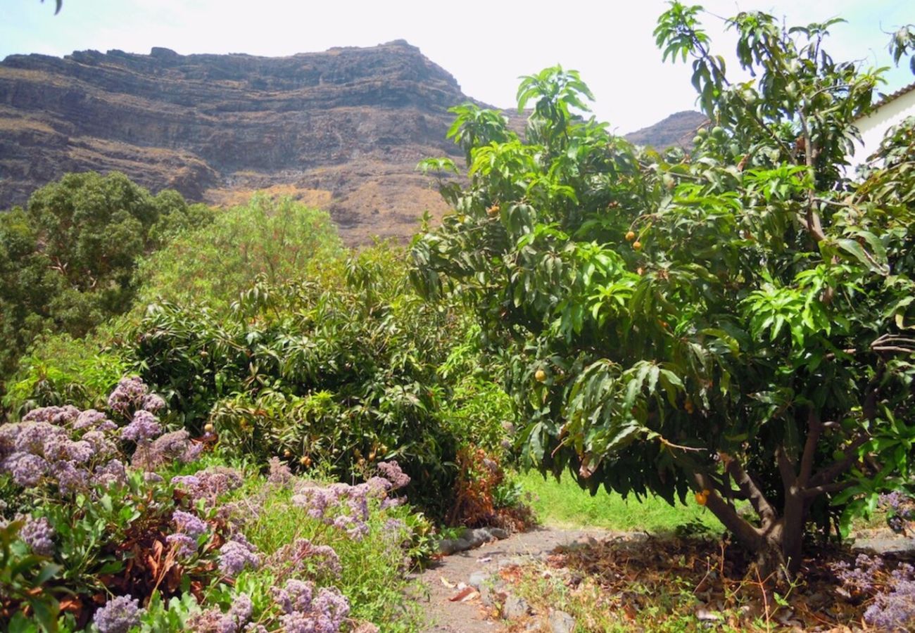 House in San Nicolas de Tolentino - Beautiful and cosy Rural House ideal for disconnecting in Tasarte