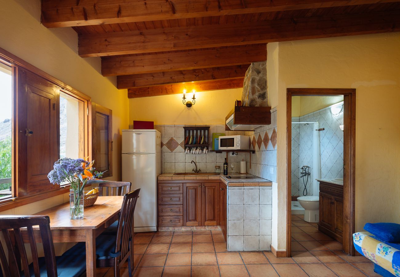 House in San Nicolas de Tolentino - Beautiful and cosy Rural House ideal for disconnecting in Tasarte