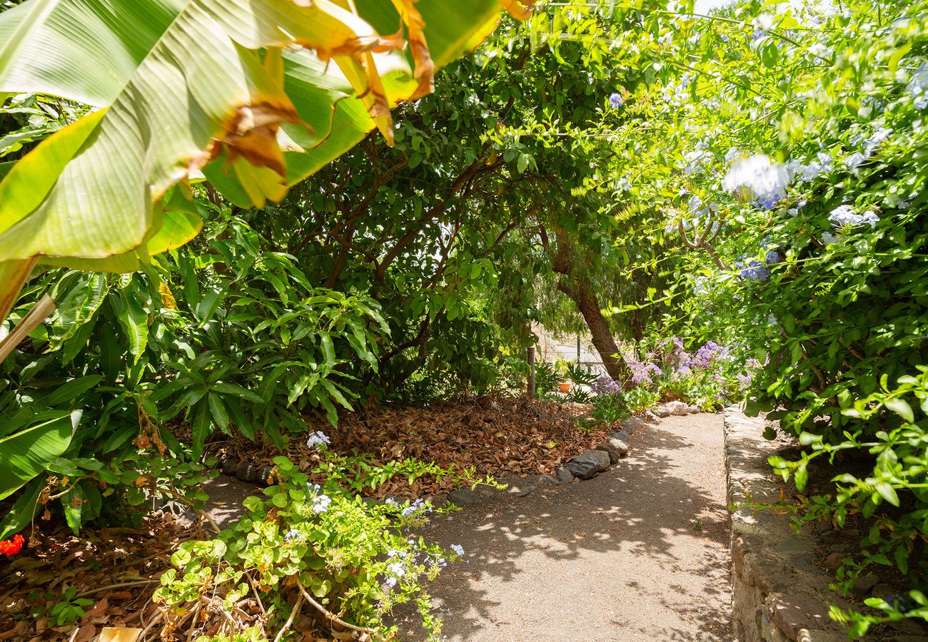 House in San Nicolas de Tolentino - Rural house with private pool in Tasarte