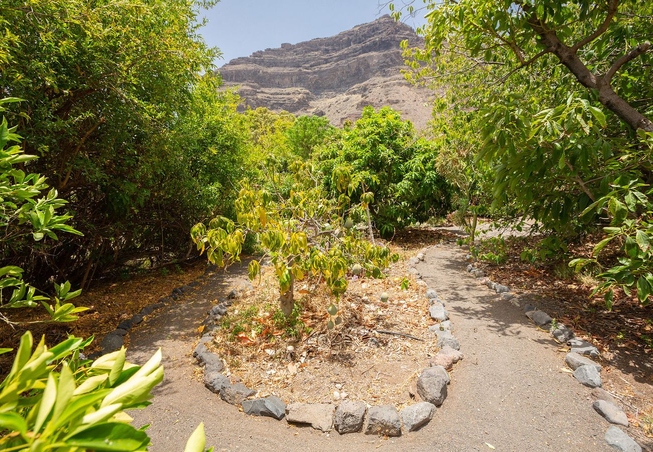 House in San Nicolas de Tolentino - Rural house with private pool in Tasarte