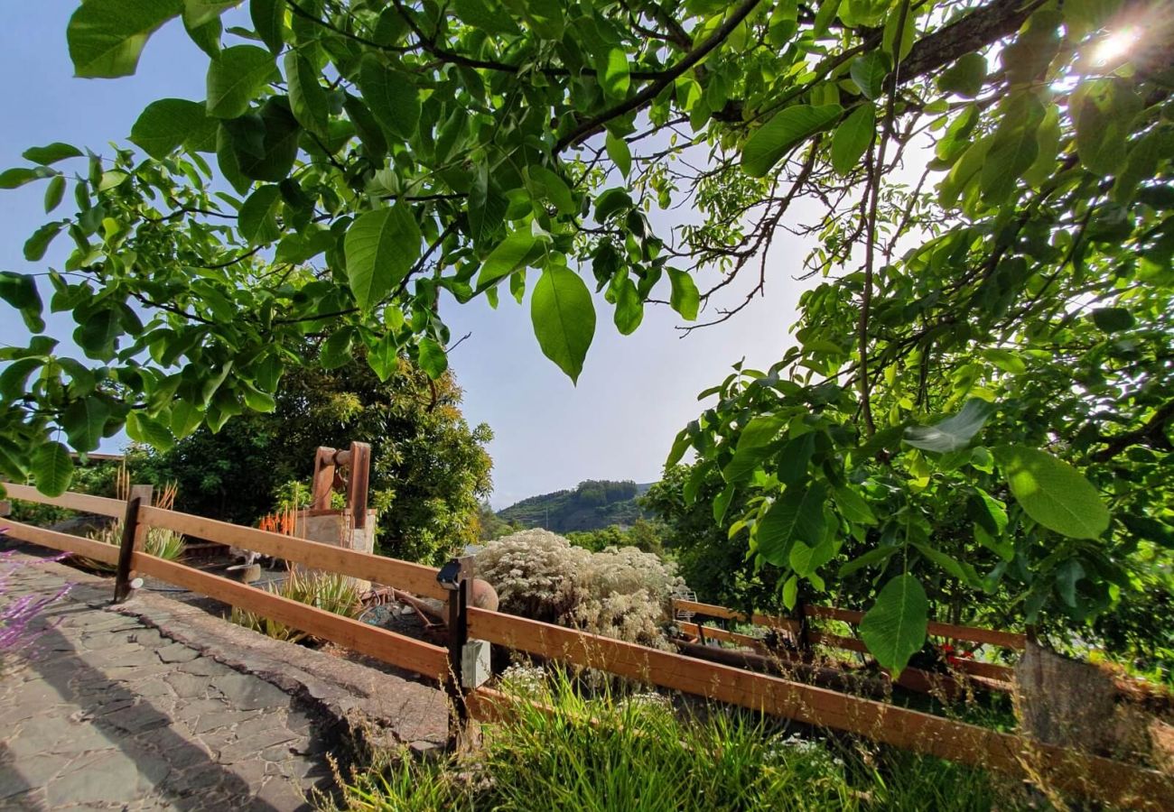 Cottage in Valleseco - Country house in Valleseco 3BHAB with terrace and barbecue