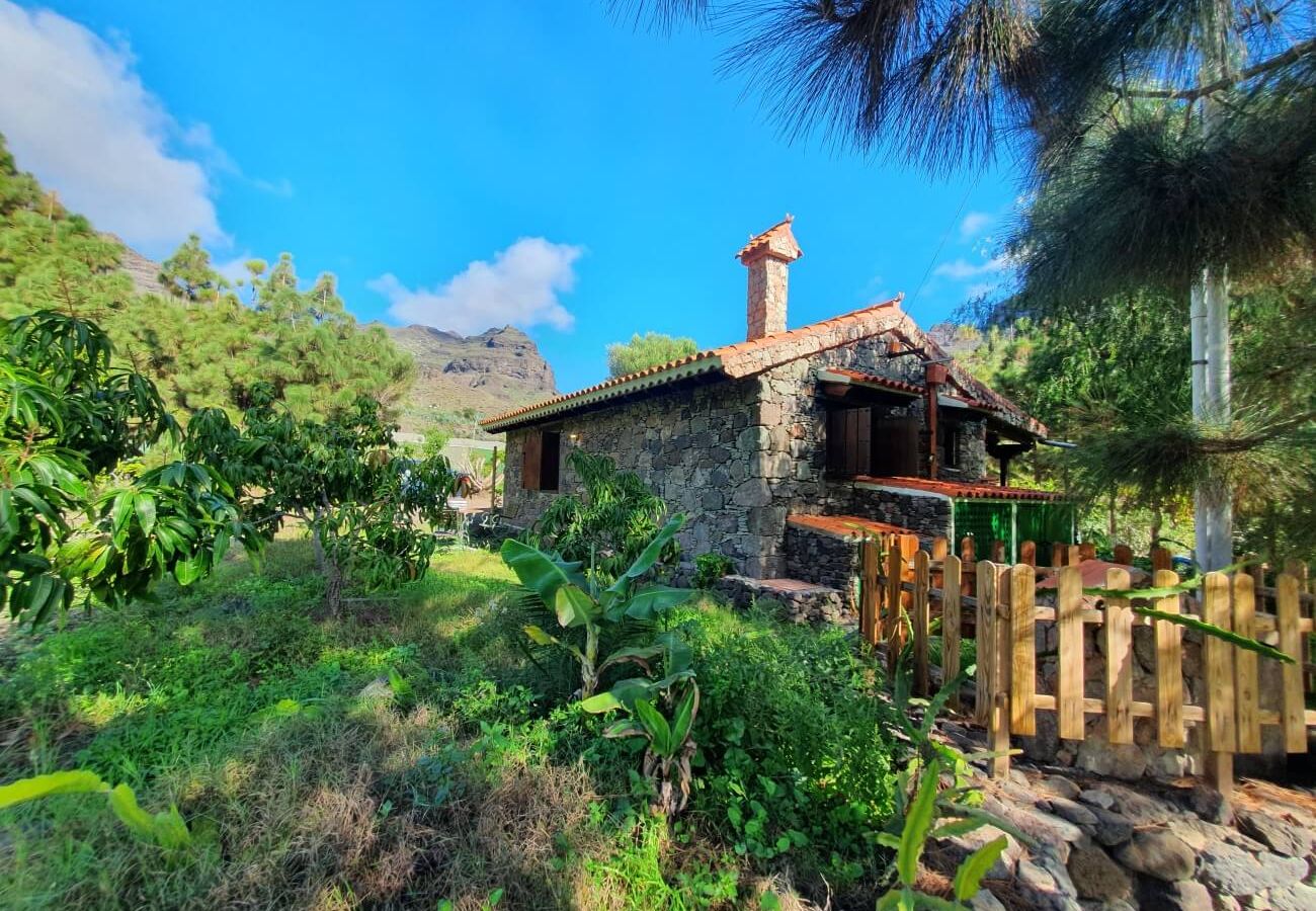 Cottage in San Nicolas de Tolentino - Rural house with paradisiacal surroundings in Tasarte