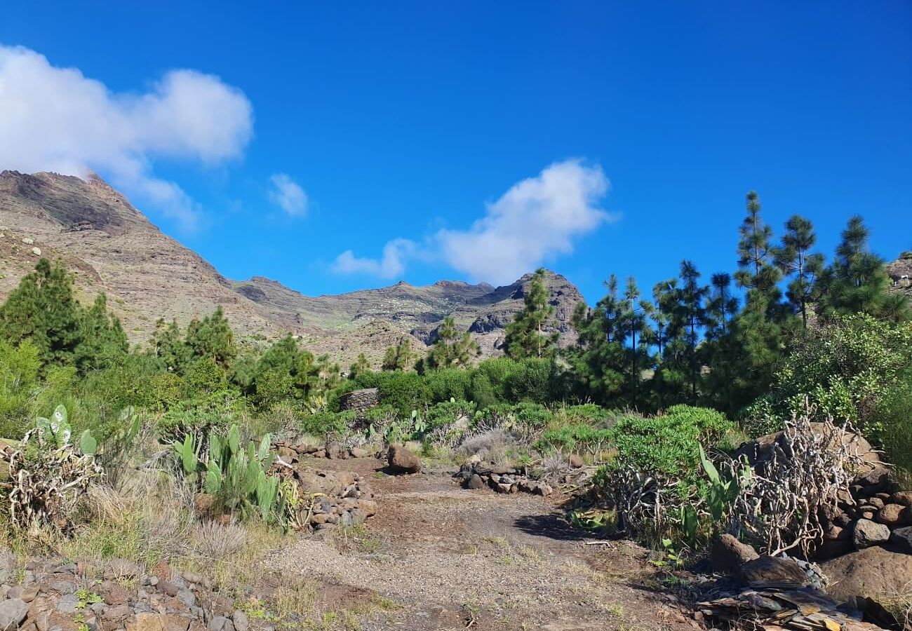 Cottage in San Nicolas de Tolentino - Rural house with paradisiacal surroundings in Tasarte