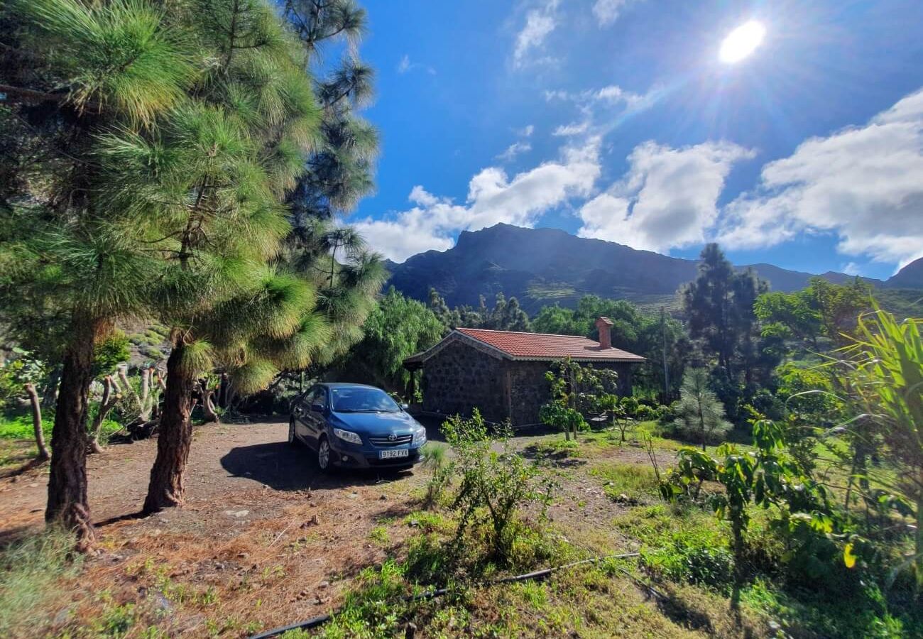 Cottage in San Nicolas de Tolentino - Rural house with paradisiacal surroundings in Tasarte