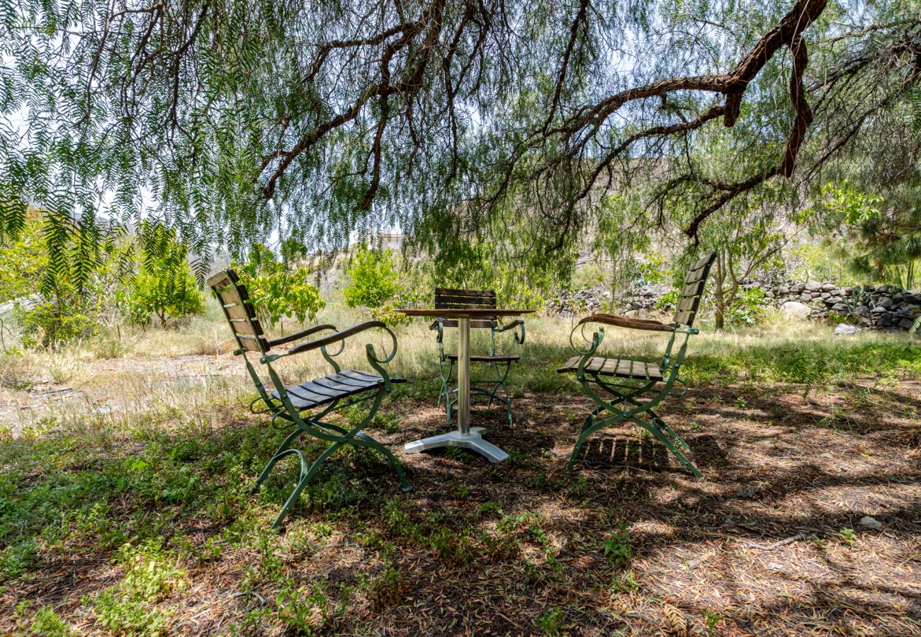 Cottage in San Nicolas de Tolentino - Finca Arenales by Villas Rivero