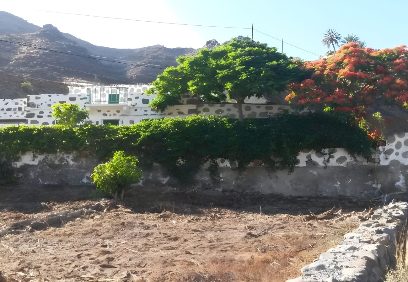 Apartment in San Nicolas de Tolentino - Casillas E