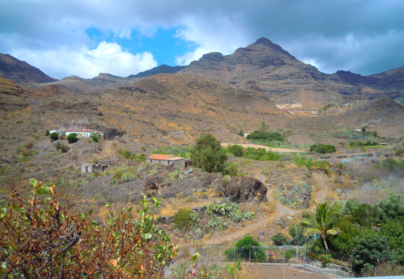 Maison à San Nicolas de Tolentino - Exclusiva Casa Rural con terraza y barbacoa ideal para desconectar en Tasarte