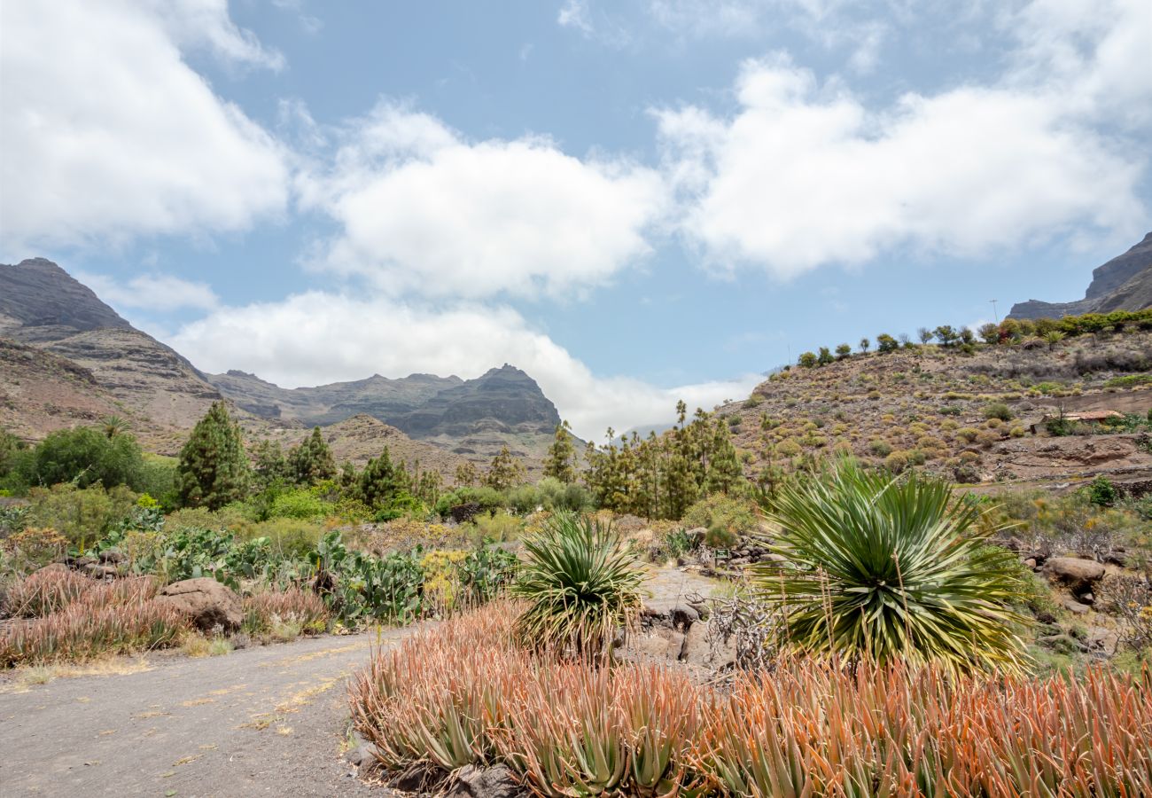 Maison à San Nicolas de Tolentino - Lengua de Lava by Villas Rivero