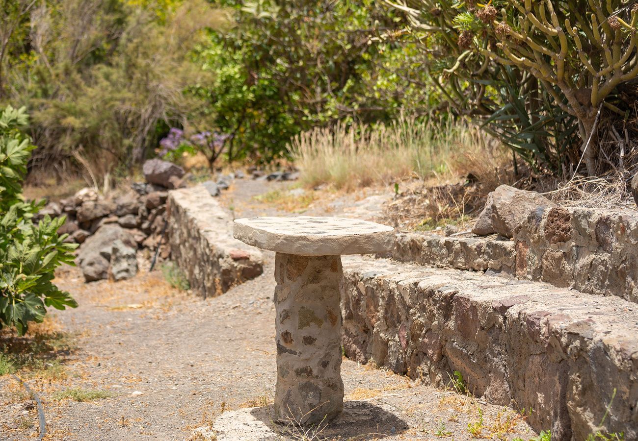 Maison à San Nicolas de Tolentino - Casa rural con piscina privada en Tasarte