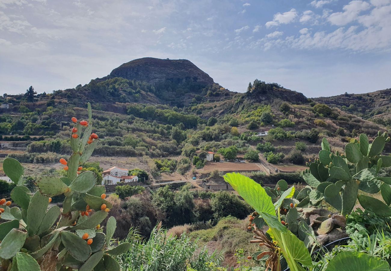 Gîte Rural à Teror - Bonita casa rural 1 HAB |terraza|senderismo