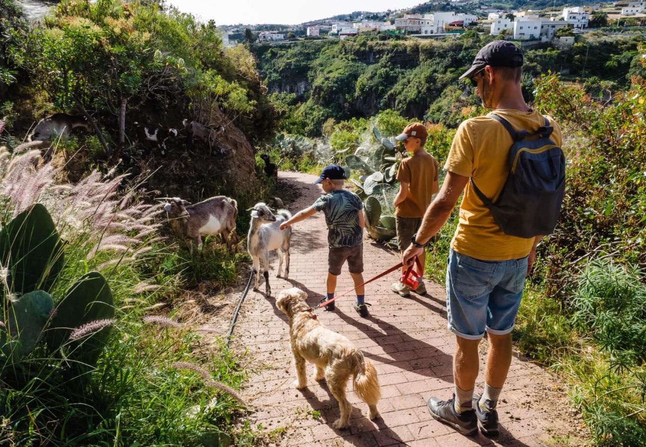 Gîte Rural à Moya - Casa Rural típica Canaria 2 HAB perfecta para desconectar y disfrutar en Moya