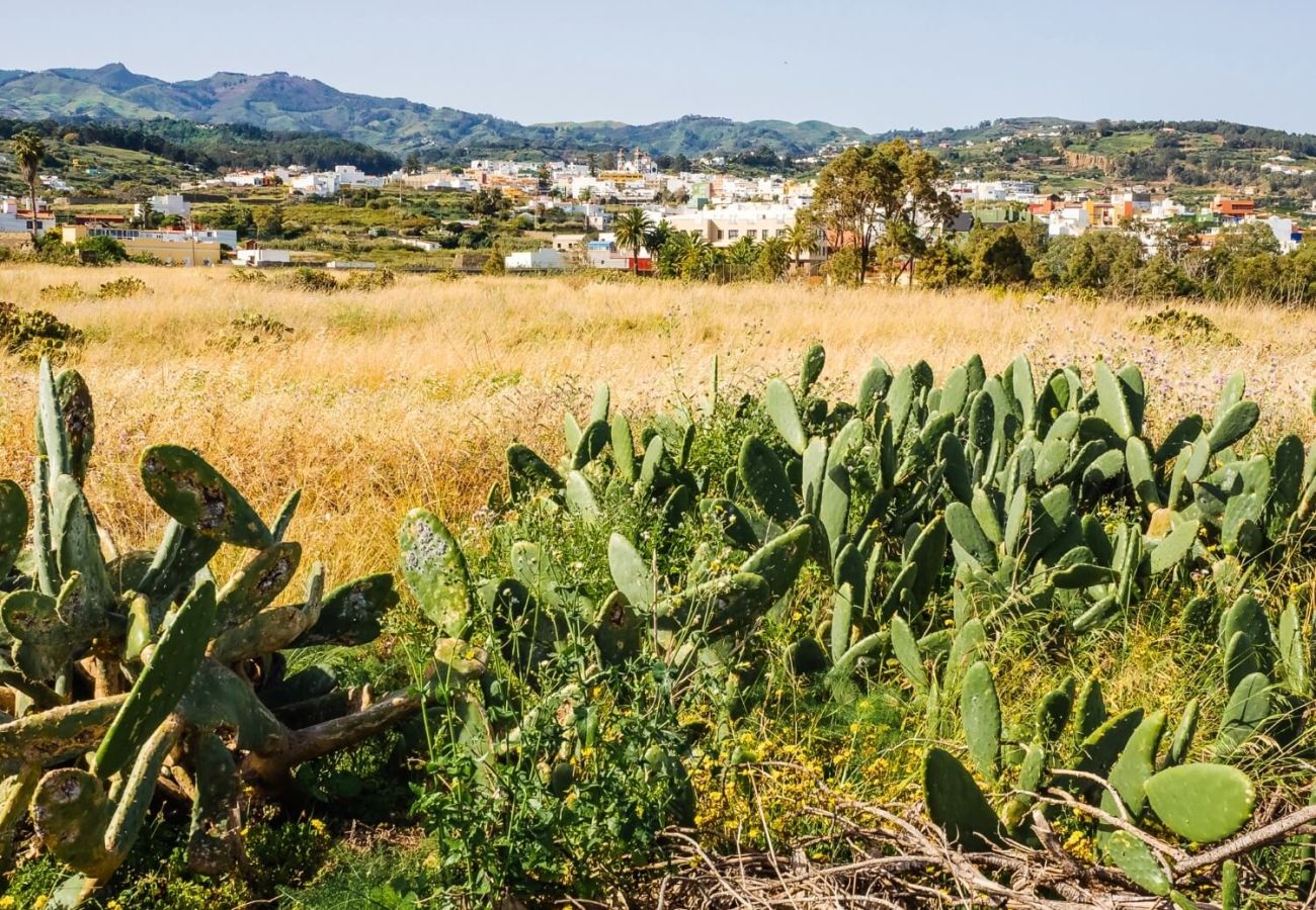 Gîte Rural à Moya - Casa Rural típica Canaria 2 HAB perfecta para desconectar y disfrutar en Moya