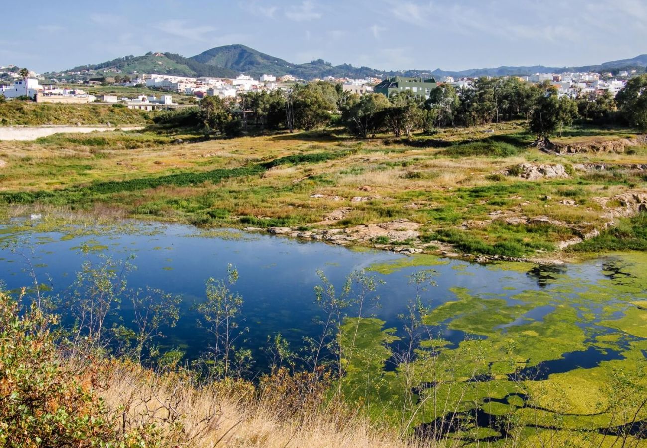 Gîte Rural à Moya - Casa Rural típica Canaria 2 HAB perfecta para desconectar y disfrutar en Moya